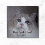 Persoonlijke foto van Pet Best Ragdoll Cat Ever Ji Legpuzzel<br><div class="desc">Dit ontwerp is voorzien van een mooie, blauwachtige Ragdoll katfoto en zwarte typografie. Je kunt de foto vervangen door een afbeelding van je eigen kat of katje. De steekproeftekst - Beste Ragdoll ooit - kan aan woorden van uw eigen keus worden uitgegeven en een Naam kan ook worden verstrekt. Op...</div>