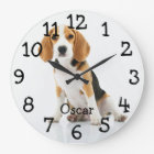 Persoonlijke foto van Pet Cat Dog