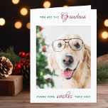 Persoonlijke foto van Pet Dog Grandma Merry Kerstm Feestdagen Kaart<br><div class="desc">Vrolijk kerstfeest de beste hond oma ooit! Geef oma een schattige en grappige persoonlijke fotokaart van zijn beste kleinkind, de hond. "Jij bent de grootmoeder elke hond die ze had. . . Vrolijk kerstoma, liefje van de hond" Personaliseer de binnenkant met je speciale bericht, de naam van de hond en...</div>