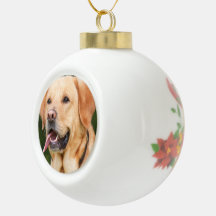 Persoonlijke foto van Pet Dog