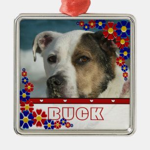 Persoonlijke foto van Pet Dog Lijst Kerstmis Metalen Ornament