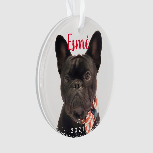 Persoonlijke foto van Pet Dog Puppy Holiday Ornament (voorkant)
