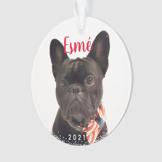 Persoonlijke foto van Pet Dog Puppy Holiday Ornament (voorkant)