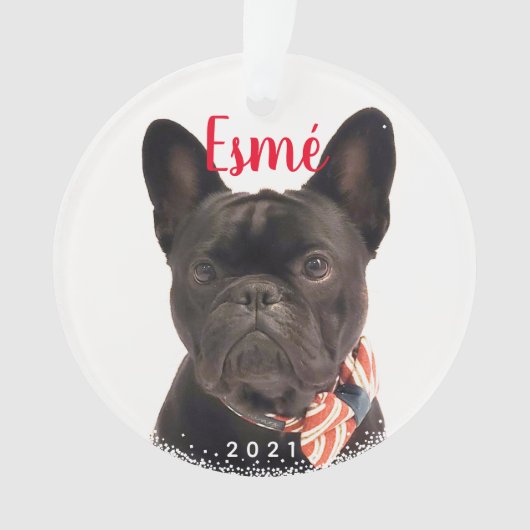Persoonlijke foto van Pet Dog Puppy Holiday Ornament (voorkant)
