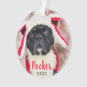 Persoonlijke foto van Pet Dog Puppy Holiday Ornament (voorkant)