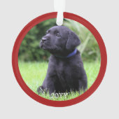 Persoonlijke foto van Pet Dog Puppy Nickname Ornament (achterkant)