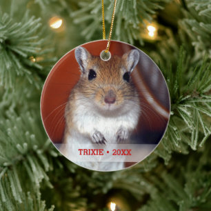 Persoonlijke foto van Pet Gerbil - kerstboom Keramisch Ornament