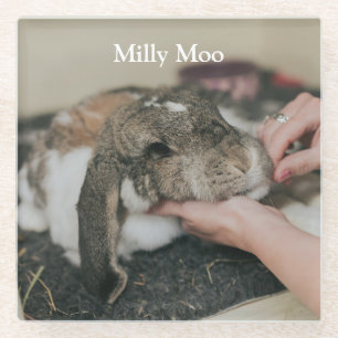 Persoonlijke foto van Pet Glazen Onderzetter