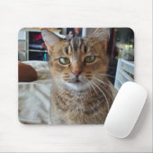 Persoonlijke foto van Pet Kitten Cat Muismat (Met muis)