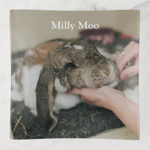 Persoonlijke foto van Pet