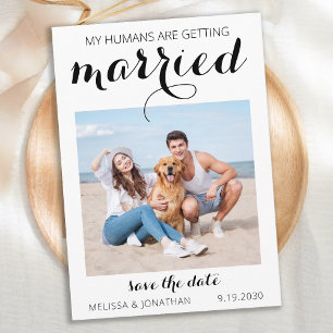 Persoonlijke foto van Pet Wedding Simple Dog Save The Date