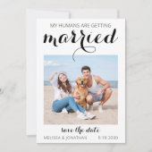 Persoonlijke foto van Pet Wedding Simple Dog Save The Date (Voorkant)