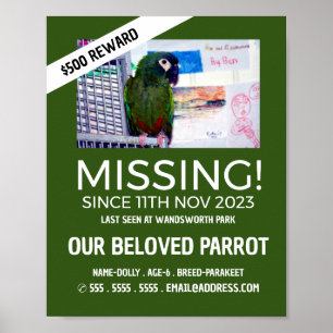 Persoonlijke foto, vermist huisdier poster