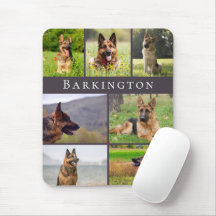 Persoonlijke Fotocollage met Huisdierhond