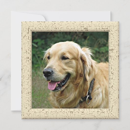 Persoonlijke Fotokaart van je Hond Aankondiging (Voorkant)