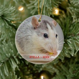 Persoonlijke foto's en kerstboom met persoonlijke  keramisch ornament