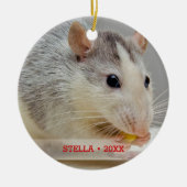 Persoonlijke foto's en kerstboom met persoonlijke  keramisch ornament (Voorkant)