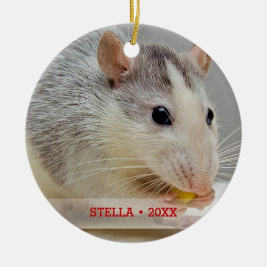 Persoonlijke foto's en kerstboom met persoonlijke  keramisch ornament (Voorkant)