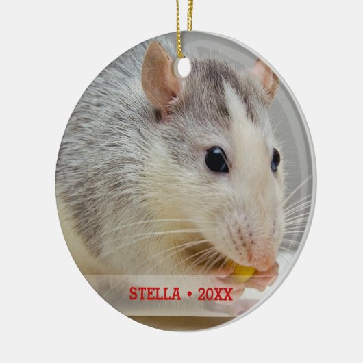 Persoonlijke foto's en kerstboom met persoonlijke  keramisch ornament (Links)