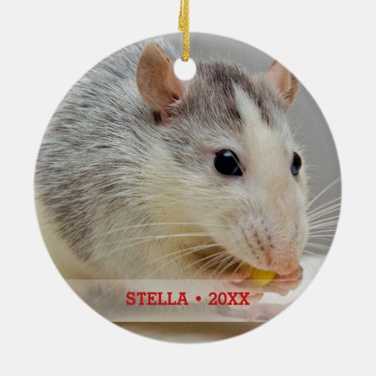 Persoonlijke foto's en kerstboom met persoonlijke  keramisch ornament (Achterkant)