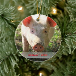 Persoonlijke foto's en kerstboom voor foto's van p keramisch ornament