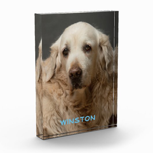 Persoonlijke foto's en namen van foto's (Links)