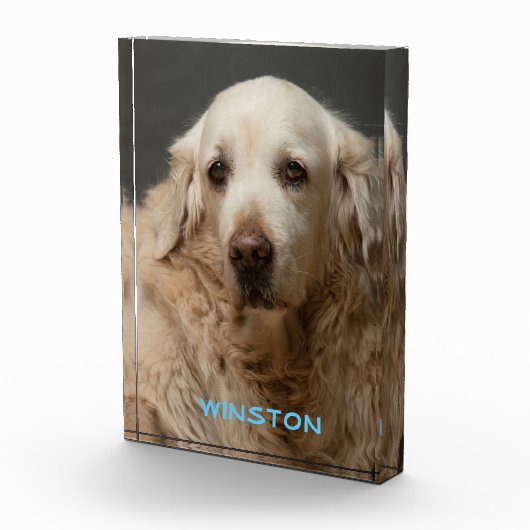 Persoonlijke foto's en namen van foto's (Rechts)