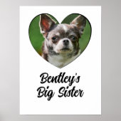 Persoonlijke foto's en tekst van grote zusjes poster (Voorkant)