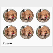 Persoonlijke foto's Verloving Dog Wedding Ronde Sticker (Vel)
