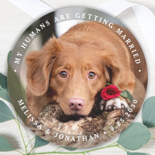 Persoonlijke foto's Verloving Dog Wedding Ronde Sticker