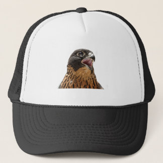 Persoonlijke fout in peregrine trucker pet