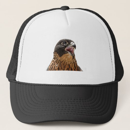 Persoonlijke fout in peregrine trucker pet (Voorkant)