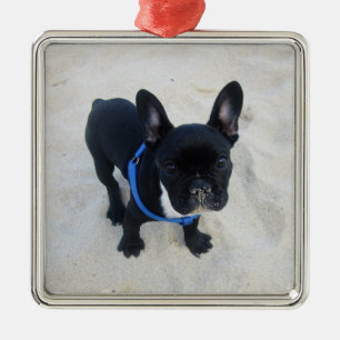 Persoonlijke Franse Bulldog Ornament
