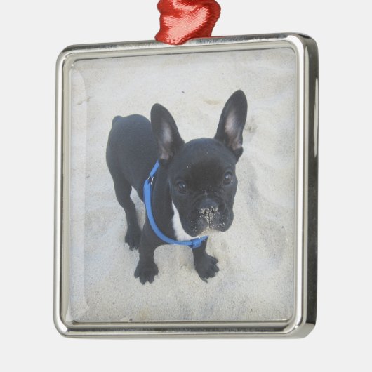 Persoonlijke Franse Bulldog Ornament (Links)