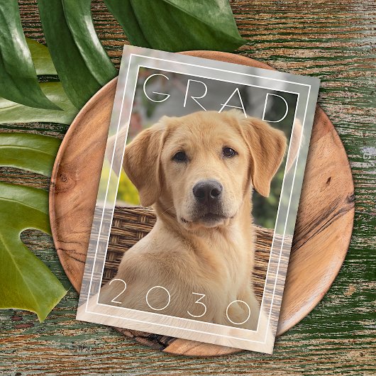 Persoonlijke Fun Puppy School Afstuderen Aankondiging