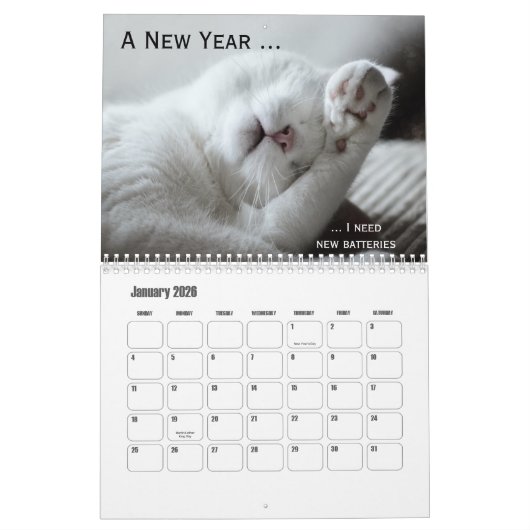 Persoonlijke Funny Cat Calendar Kalender (Jan 2026)