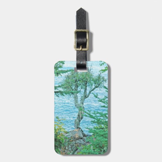 Persoonlijke gegevens over spionageboom bij superi bagagelabel (Voorkant verticaal)