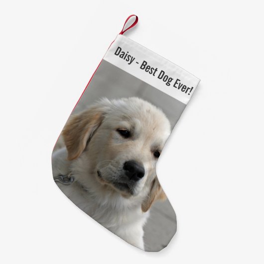 Persoonlijke Golden Retriever Dog Foto en naam Kleine Kerstsok (Voorkant (Hangend))