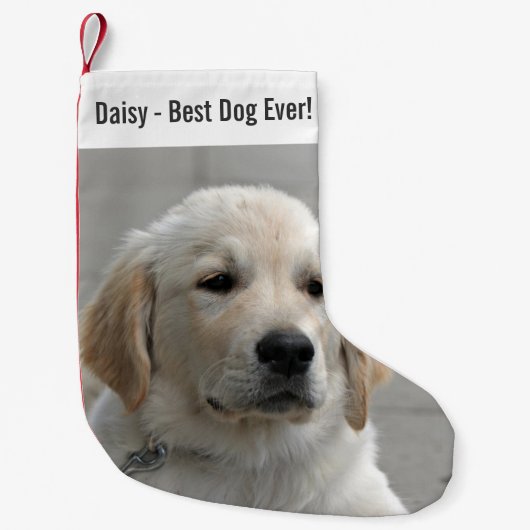 Persoonlijke Golden Retriever Dog Foto en naam Kleine Kerstsok (Voorkant)