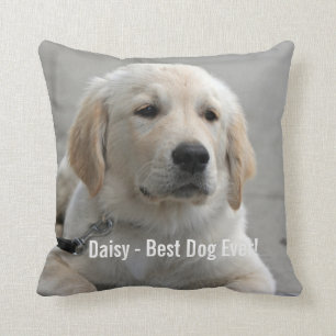 Persoonlijke Golden Retriever Dog Foto en naam Kussen