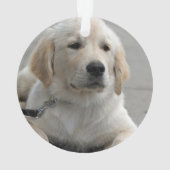 Persoonlijke Golden Retriever Dog Foto en naam Ornament (achterkant)