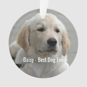 Persoonlijke Golden Retriever Dog Foto en naam Ornament