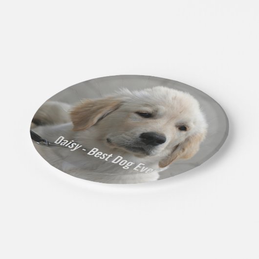 Persoonlijke Golden Retriever Dog Foto en naam Papieren Bordje (Gekanteld)