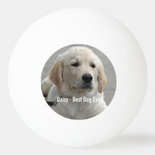 Persoonlijke Golden Retriever Dog Foto en naam Pingpongbal