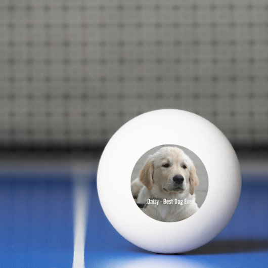 Persoonlijke Golden Retriever Dog Foto en naam Pingpongbal (Net)