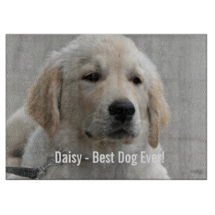 Persoonlijke Golden Retriever Dog Foto en naam Snijplank