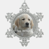 Persoonlijke Golden Retriever Dog Foto en naam
