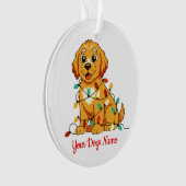 Persoonlijke Gouden Retriever Acryl Ornament (voorkant)