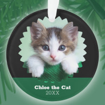 Persoonlijke groene en zwarte foto van kat op