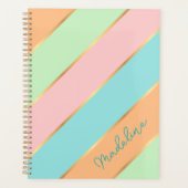 Persoonlijke groene turquoise blauwe roze streep planner (Voorkant)